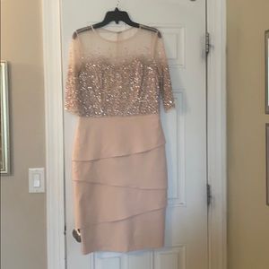 Adrianna Papell Blush Dress